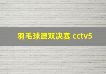 羽毛球混双决赛 cctv5